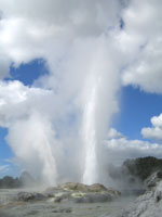 Geyser à Te Puia