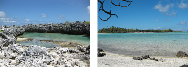 Île aux récifs