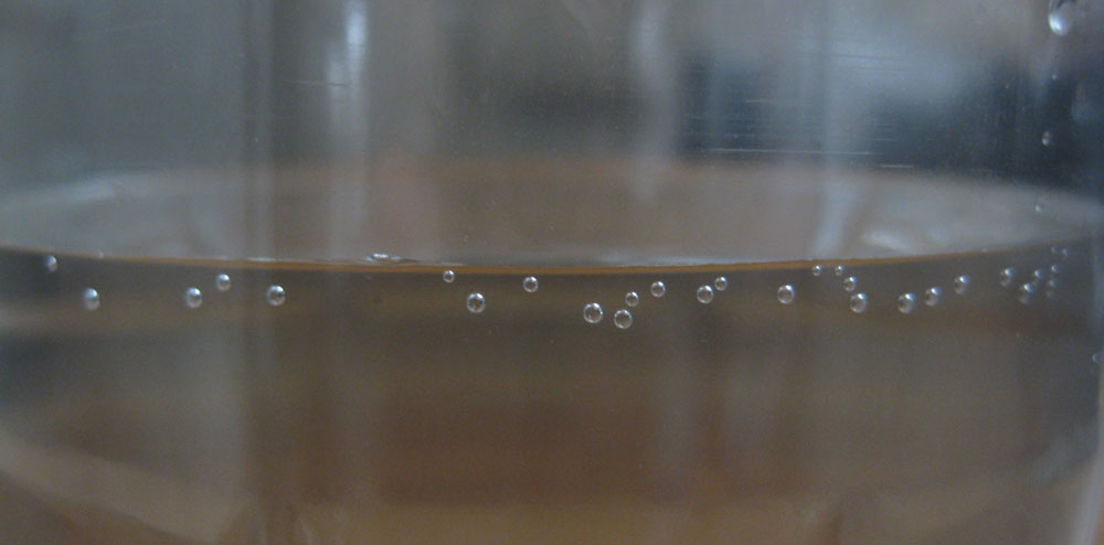 Bulles apparaissant dans la bouteille après dépressurisation