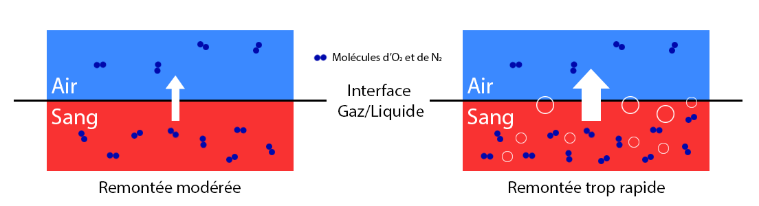 Schéma du dégazage et formation de bulles à la remontée