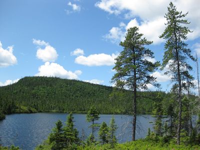 Après la tyrolienne