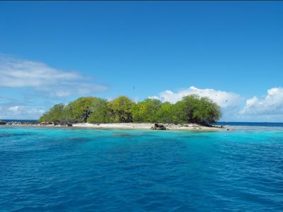 L'île aux oiseaux