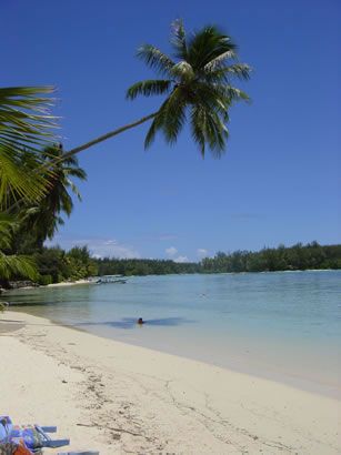 Maupiti et Rangiroa