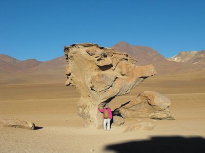 El Arbol de Piedra