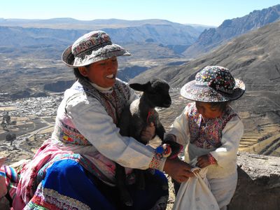 Au bord du canyon du Colca
