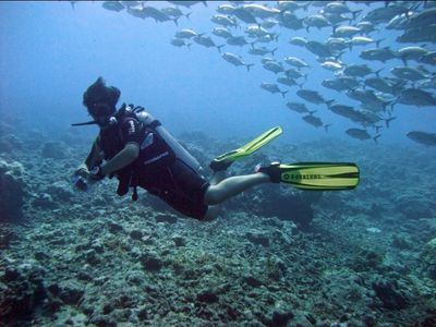 Plongée sous-marine